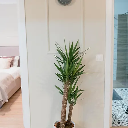 Urban Deluxe Retreat Coposu * Cluj-Napoca