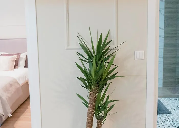 Urban Deluxe Retreat Coposu * Kluż-Napoka